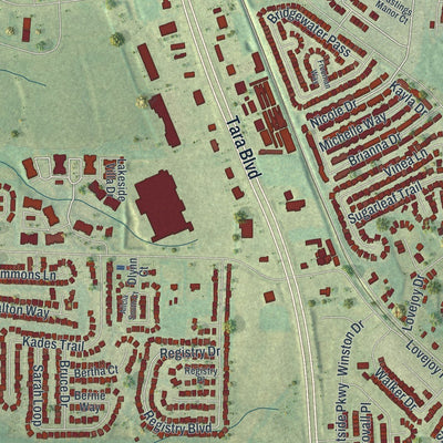 Close-up of the map of Lovejoy, Georgia print showing street and building detail