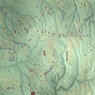 Close-up of the map of Henagar, Alabama print showing street and building detail