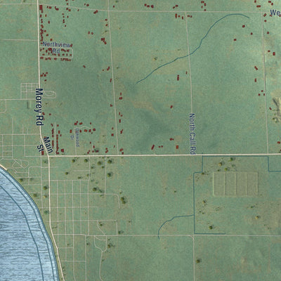 Close-up of the map of Forest, Missaukee County, Michigan print showing street and building detail