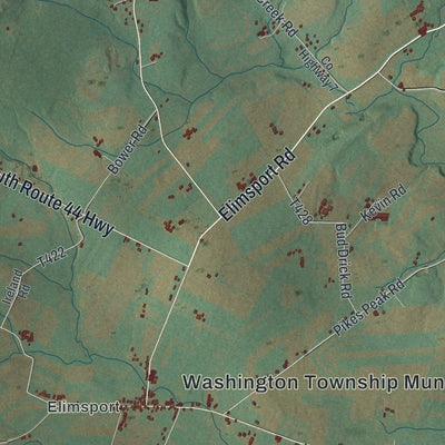 Close-up of the map of Washington, Lycoming County, Pennsylvania print showing street and building detail