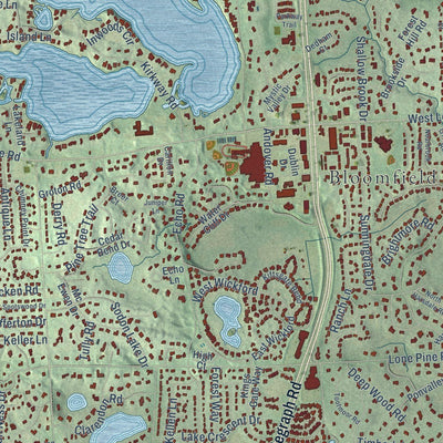 Close-up of the map of Bloomfield, Oakland County, Michigan print showing street and building detail
