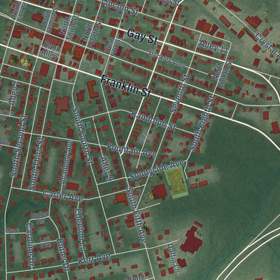 Close-up of the map of Denton, Maryland print showing street and building detail