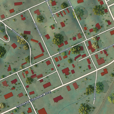 Close-up of the map of Dungannon, Virginia print showing street and building detail