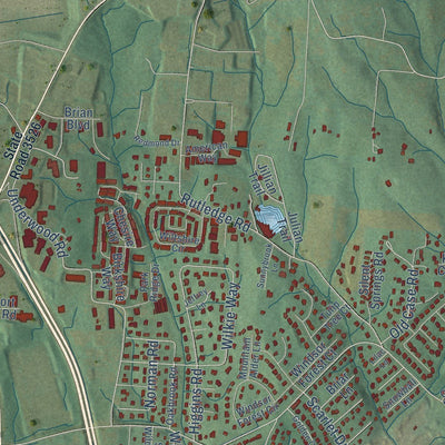 Close-up of the map of Fletcher, North Carolina print showing street and building detail