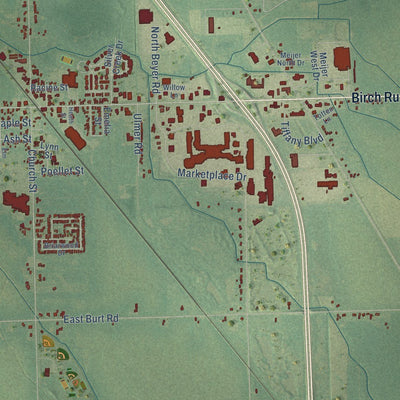 Close-up of the map of Birch Run, Saginaw County, Michigan print showing street and building detail