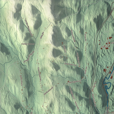 Close-up of the map of St. Johnsbury, Vermont print showing streets and neighborhoods