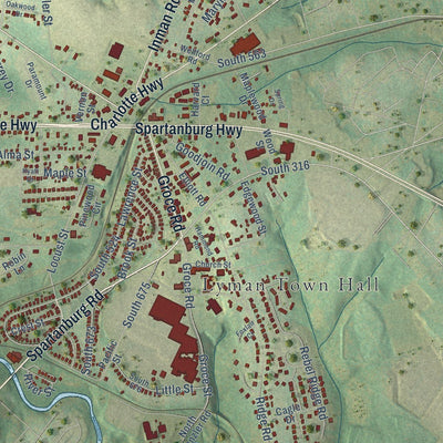 Close-up of the map of Lyman, South Carolina print showing street and building detail