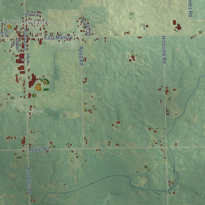 Close-up of the map of Adams, Hillsdale County, Michigan print showing street and building detail