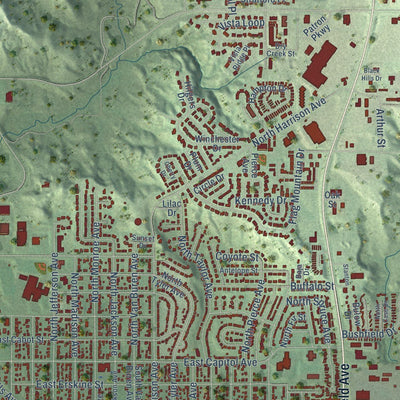 Close-up of the map of Pierre, South Dakota print showing street and building detail