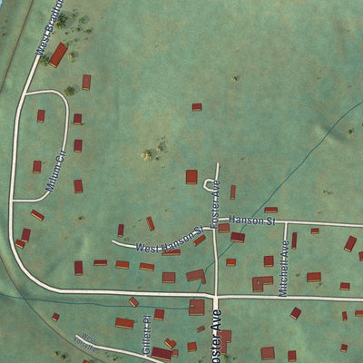 Close-up of the map of Pyatt, Arkansas print showing street and building detail