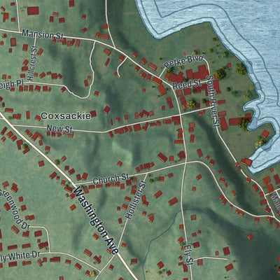 Close-up of the map of the Village of Coxsackie, New York print showing street and building detail
