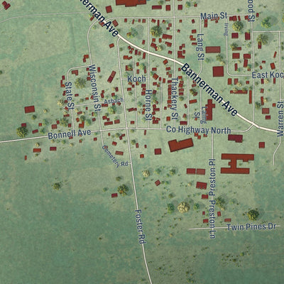 Close-up of the map of Redgranite, Wisconsin print showing street and building detail