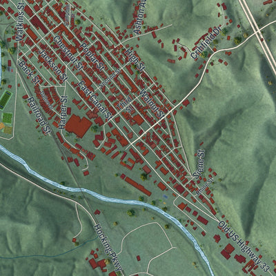 Close-up of the map of Nelsonville, Ohio print showing street and building detail