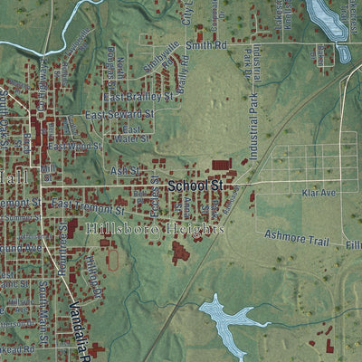 Close-up of the map of Hillsboro, Illinois print showing street and building detail