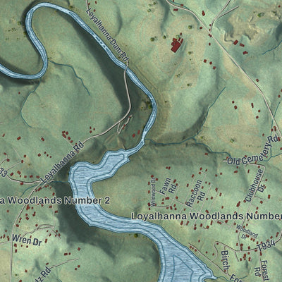 Close-up of the map of Loyalhanna, Pennsylvania print showing street and building detail