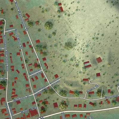 Close-up of the map of Prairie City, Oregon print showing street and building detail