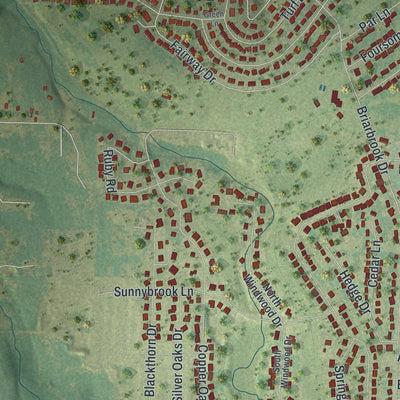 Close-up of the map of Carl Junction, Missouri print showing street and building detail