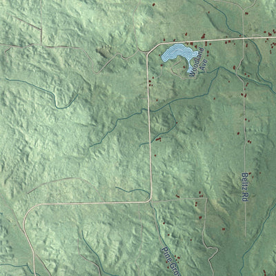 Close-up of the map of Briley, Michigan print showing street and building detail