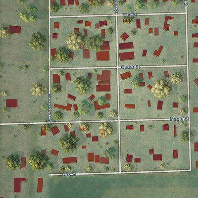 Close-up of the map of Davey, Nebraska print showing street and building detail