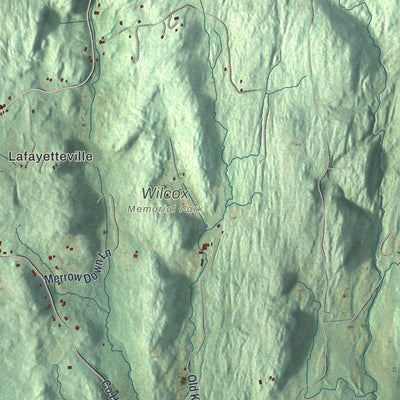 Close-up of the map of Milan, New York print showing street and building detail