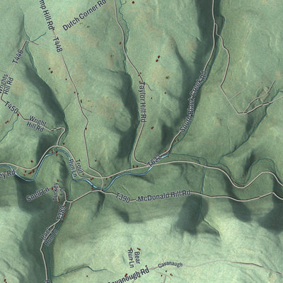 Close-up of the map of Forks, Sullivan County, Pennsylvania print showing street and building detail