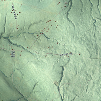 Close-up of the map of Poland, New York print showing street and building detail
