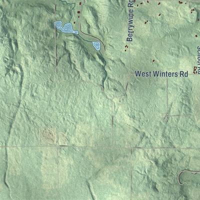Close-up of the map of Corwith, Michigan print showing street and building detail