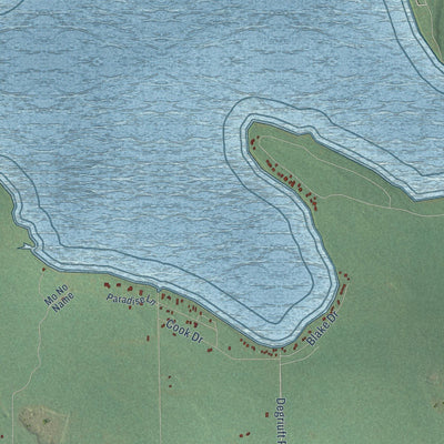 Close-up of the map of Carp Lake, Emmet County, Michigan print showing street and building detail