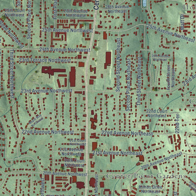 Close-up of the map of Center Point, Alabama print showing street and building detail