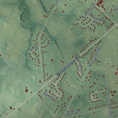 Close-up of the map of South Harrison, New Jersey print showing street and building detail