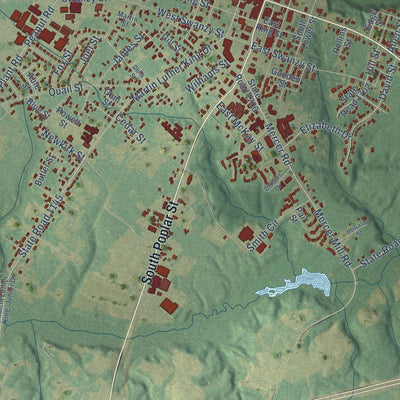 Close-up of the map of Elizabethtown, North Carolina print showing street and building detail