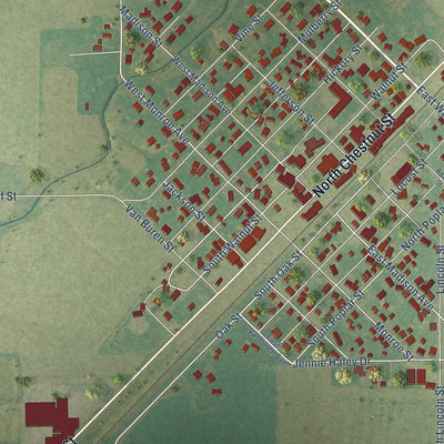 Close-up of the map of Farina, Illinois print showing street and building detail