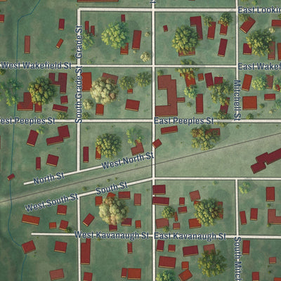 Close-up of the map of Summerfield, Illinois print showing street and building detail