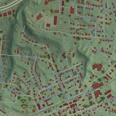Close-up of the map of Algood, Tennessee print showing street and building detail