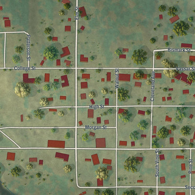 Close-up of the map of Bunceton, Missouri print showing street and building detail