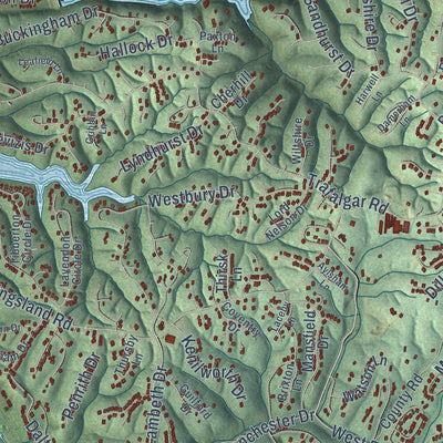 Close-up of the map of Bella Vista, Arkansas print showing street and building detail