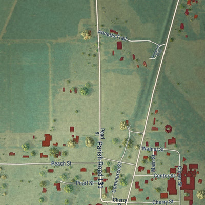 Close-up of the map of Forest, Louisiana print showing street and building detail