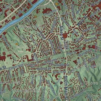 Close-up of the map of Danville, Virginia print showing street and building detail