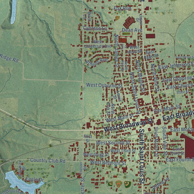Close-up of the map of Sparta, Illinois print showing street and building detail