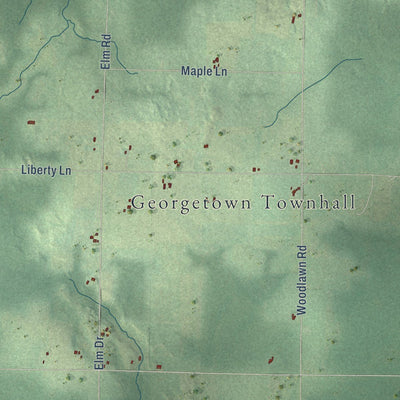 Close-up of the map of Georgetown, Price County, Wisconsin print showing street and building detail