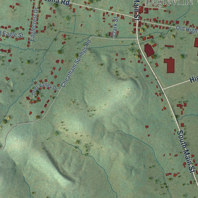 Close-up of the map of Eagleville, Tennessee print showing street and building detail