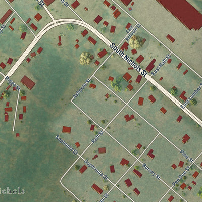 Close-up of the map of Nichols, South Carolina print showing street and building detail