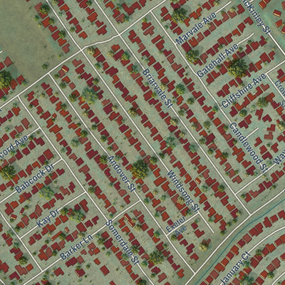 Close-up of the map of Home Gardens, California print showing street and building detail