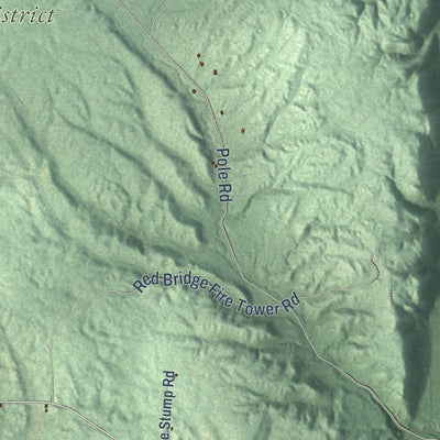 Close-up of the map of Dickson, Michigan print showing street and building detail