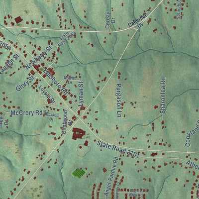 Close-up of the map of Stokesdale, North Carolina print showing street and building detail