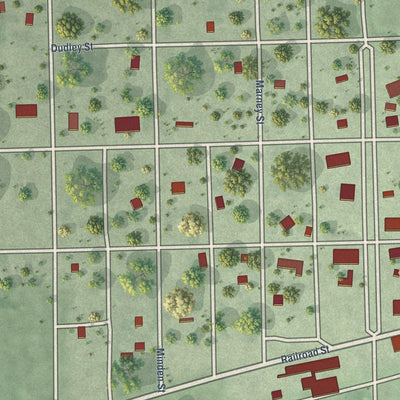 Close-up of the map of Ong, Nebraska print showing street and building detail
