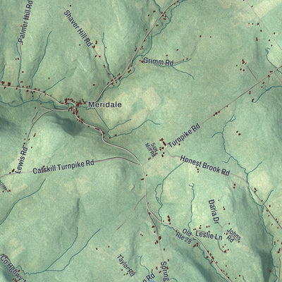 Close-up of the map of Meredith, New York print showing street and building detail