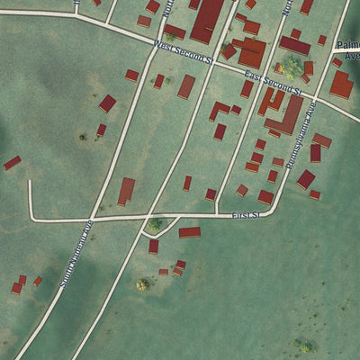 Close-up of the map of Palmer, Kansas print showing street and building detail