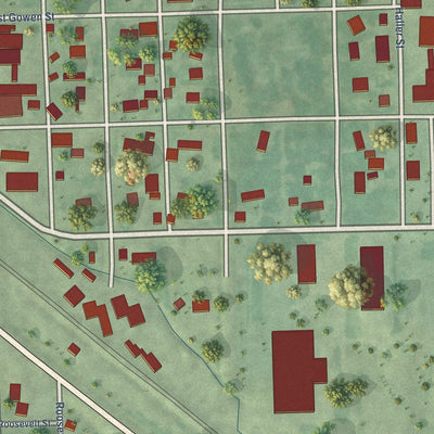 Close-up of the map of Litchfield, Nebraska print showing street and building detail