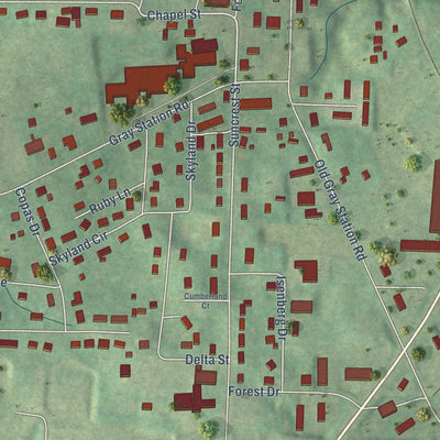 Close-up of the map of Gray, Tennessee print showing street and building detail